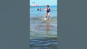 Анапа. Акула, акула... 😂🤣🤣🤔🦈