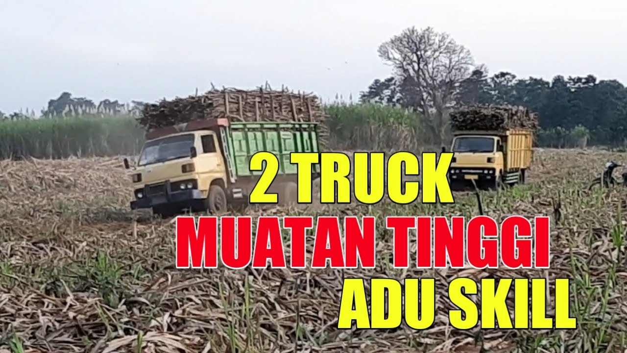 ADU SKIL Dua Truk  Tebu Goyang  Parah Akhirnya Terjadi 