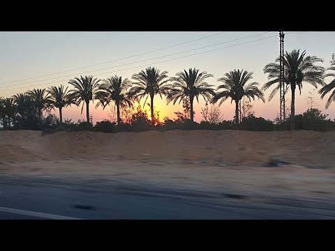 صباحوا اشطه بالعسل