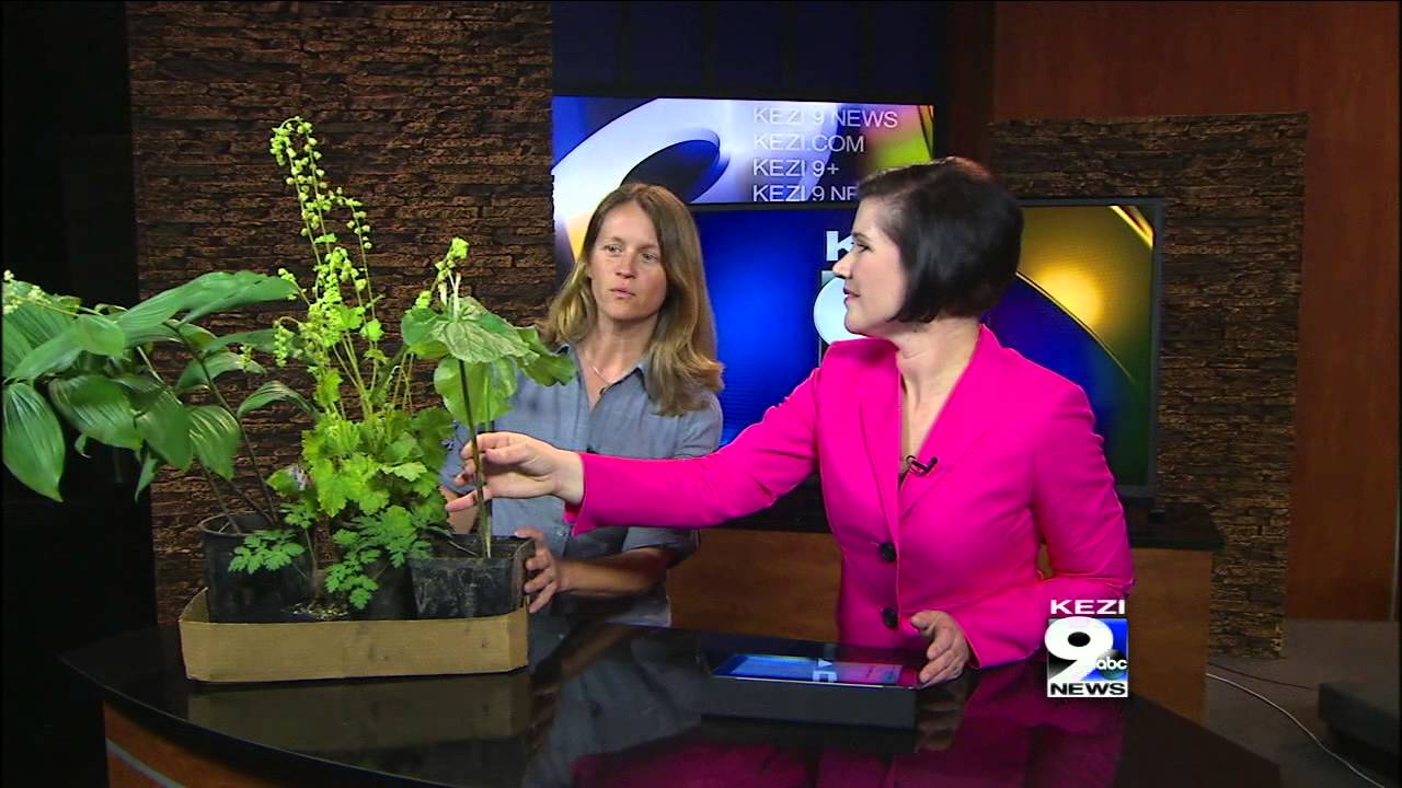 Awbrey Park Hosts Wildflower Celebration