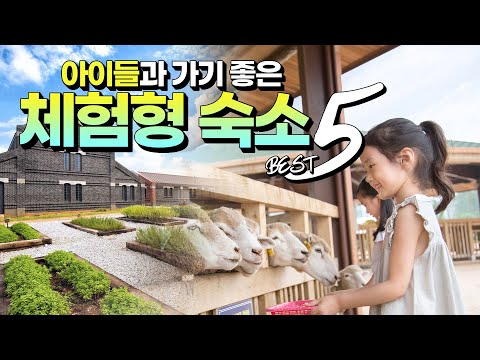 가족여행 고민 끝! 아이와 가기 좋은 국내 체험형 호텔&리조트 BEST 5