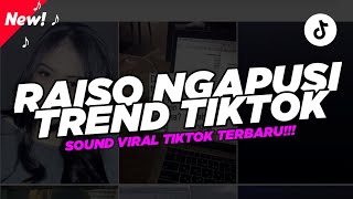 DJ Raiso Ngapusi Trend Tiktok!!! || Sound - JJ Capcut Trend Viral!!! ( Nabih Fvnky Feat. Lana SPN ) 