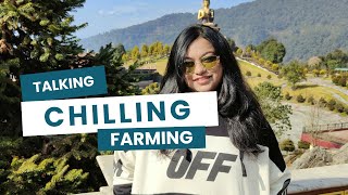 🔴Chilling, Talking, Cooking and Farming (Palia)