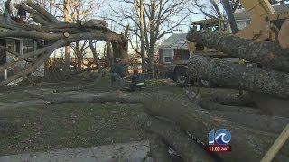 Newport News fire crews say five homes uninhabitable after harsh winds knock down trees
