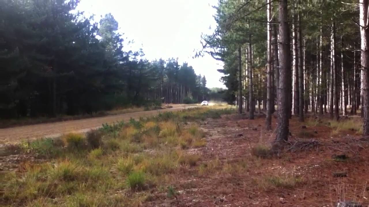 Tempest rally (Part 14)