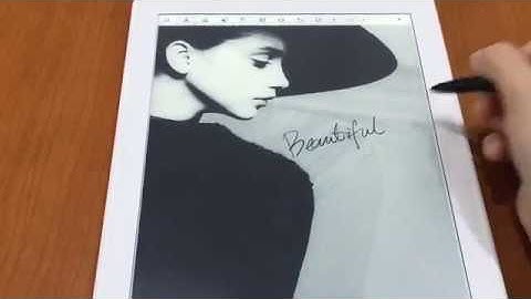 Likebook Mimas V1. 0. 2 Custom template function