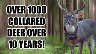 Outlining a 10-year deer study!