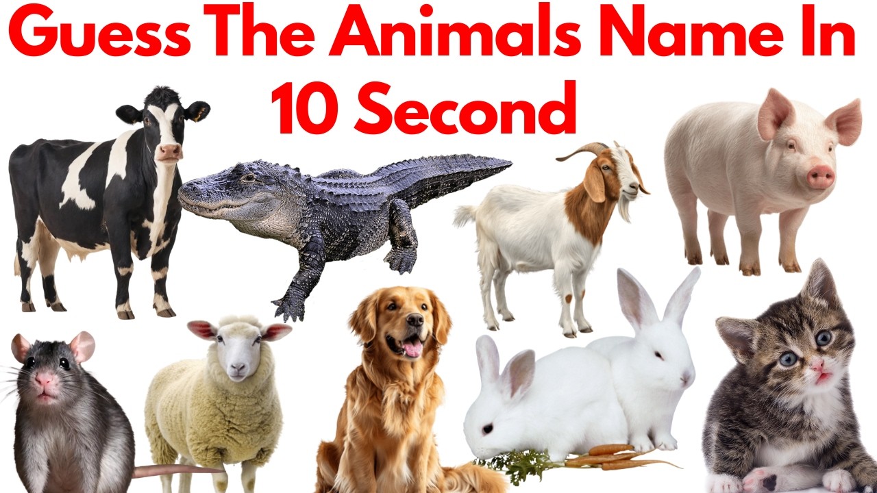 Guess Animals 🐯🦁 Name In 10 Second | Animal Quiz | Animal Challenge For ...