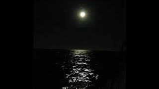 Rois - Gece Kayıtı