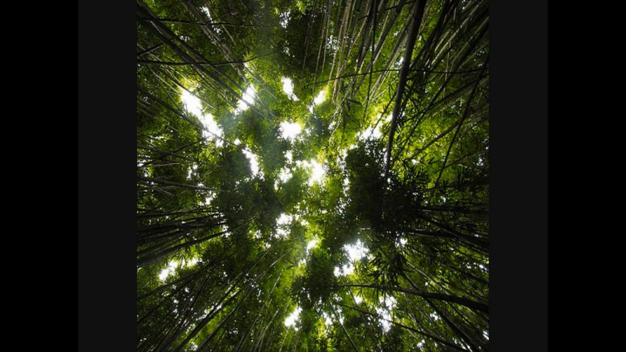 Universal Hall Pass - Katrinah Josephina [HD]