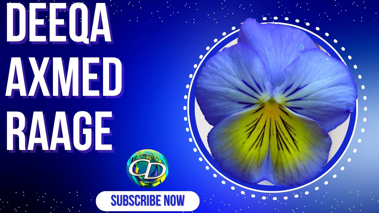 Deeqa Axmed Raage | Heesta  Amakaagaye | Hees Macaan