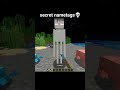 Minecraft Secret Nametags Moment
