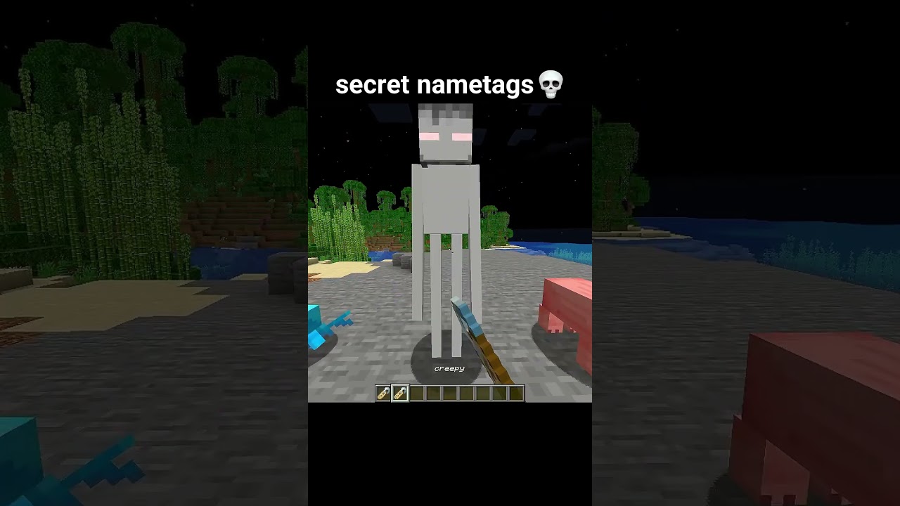 Minecraft Secret Nametags Moment