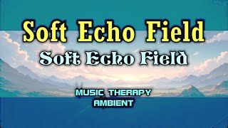 Soft Echo Field
