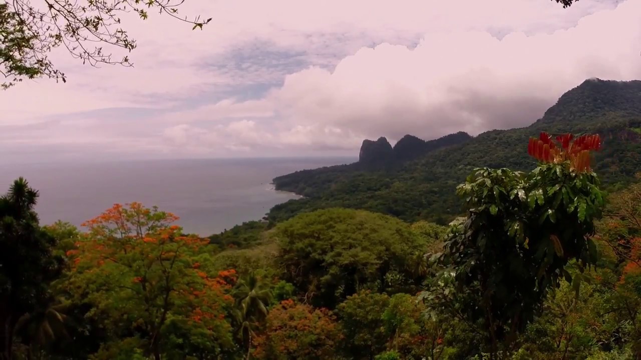 Claudio Corallo: chocolate soil to bar