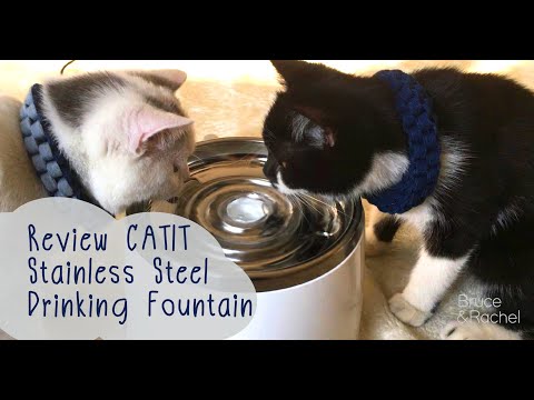 Review Catit Stainless Steel Drinking Fountain(น้ำพุแมว) By Bruce&Rachel
