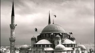 Nikkfurie - Thé à la Menthe