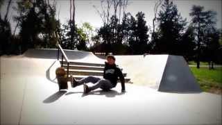 Hardflip set bails (HD)