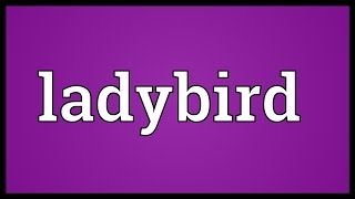 Ladybird Meaning screenshot 5