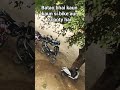 bike Scooty #viral shirt #Arham official kaisa laga batao