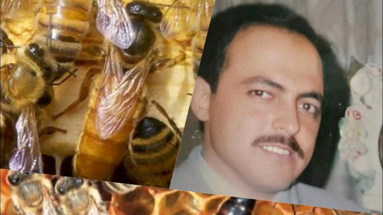 معلومات و نصائح في تربية النحل من مهندس ابو انس النجار أسأل الله أن يرحمه رحمة واسعة