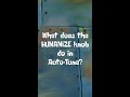 What is humanize in autotune