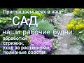 Обрабатываю САД ,что спасёт наши РАСТЕНИЯ ? Метель в конце апреля !