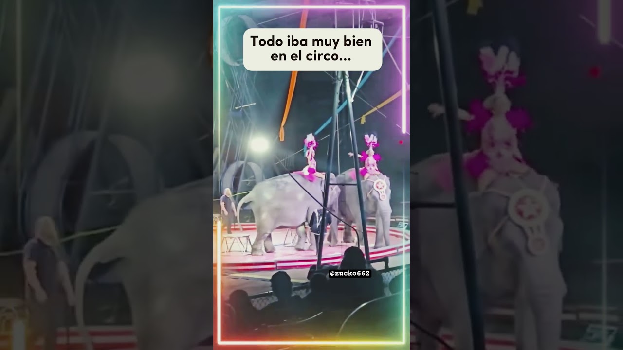Se Llevo Los Aplausos Y El Show #circo #humor #shortvideo #shortsviral #suscribete #comedy