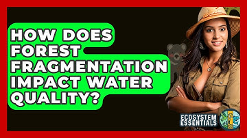 How Does Forest Fragmentation Impact Water Quality? - Ecosystem Essentials