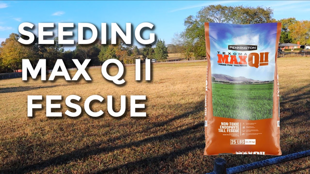 Seeding MAX Q Fescue! Trying To Develop Winter Pasture In East Texas ...