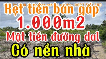Kẹt tiền bán gấp 1 công đất nền nhà mặt tiền đường dal giá ngộp TP,Vị Thanh Hậu Giang