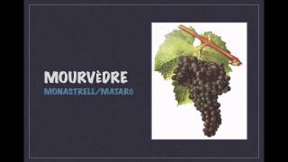 Winecast Mourvèdre
