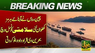China and Russia vetoed Bahrain's resolution on the Strait of Hormuz in the Security Council