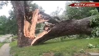 Tree falls on girl's bedroom