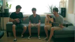 Video thumbnail of "Titanium & Somebody That I Used to Know: David Guetta & Gotye - AJR Cover"