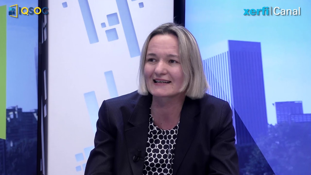 Les grands auteurs en management international [Ulrike Mayrhofer]