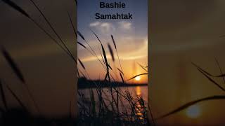 Bashie - Samahtak  #shorts  #bashie #arabicremix #aysar #samahtak Resimi