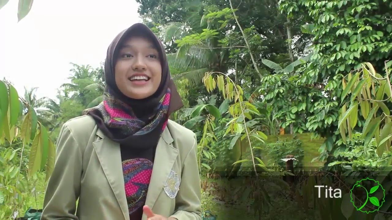 KKN UGM 2016 BANJARNEGARA - Blusukan di Merden Idola