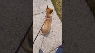 Autumn Sunbathingspring Timejane Belia