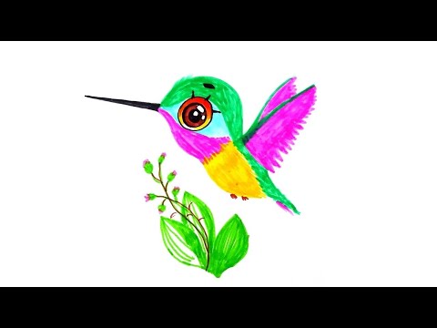 как нарисовать колибри