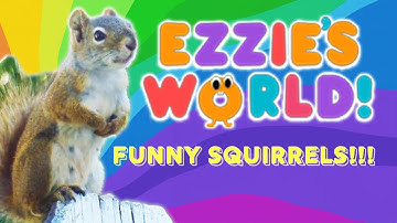 Funny Squirrels On Ezzie