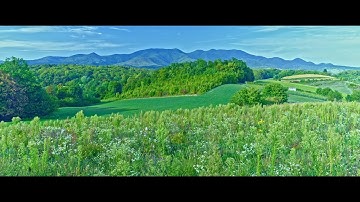 "THERE AND BACK"  a film by Branko Kurtanjek   4K Video  (please see notes) Zdenko de Zagreb