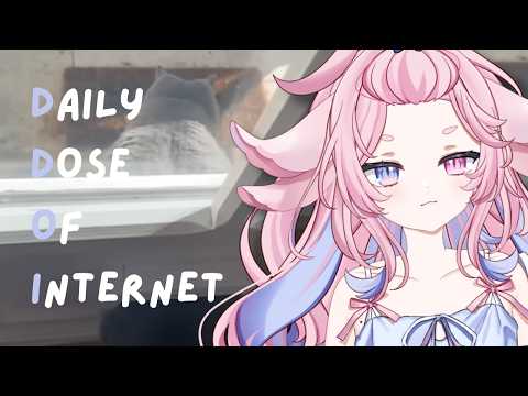 Elio Reacts to Daily Dose of Internet | Fat Chud Cat?!