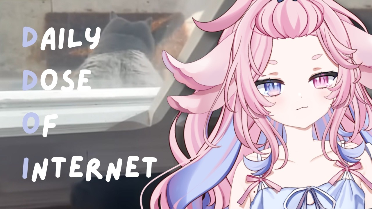 Элио реагирует на ежедневную порцию интернета | Толстый кот-чуд?!