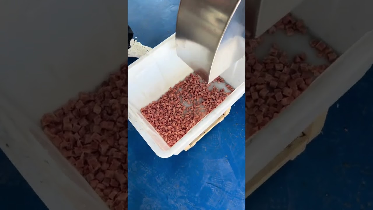 MNS-100 Micro-frozen Meat Cube Cutter (menasenmachinery.com)