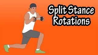 How To Do, Perform Split Stance Core Dumbbell Rotations