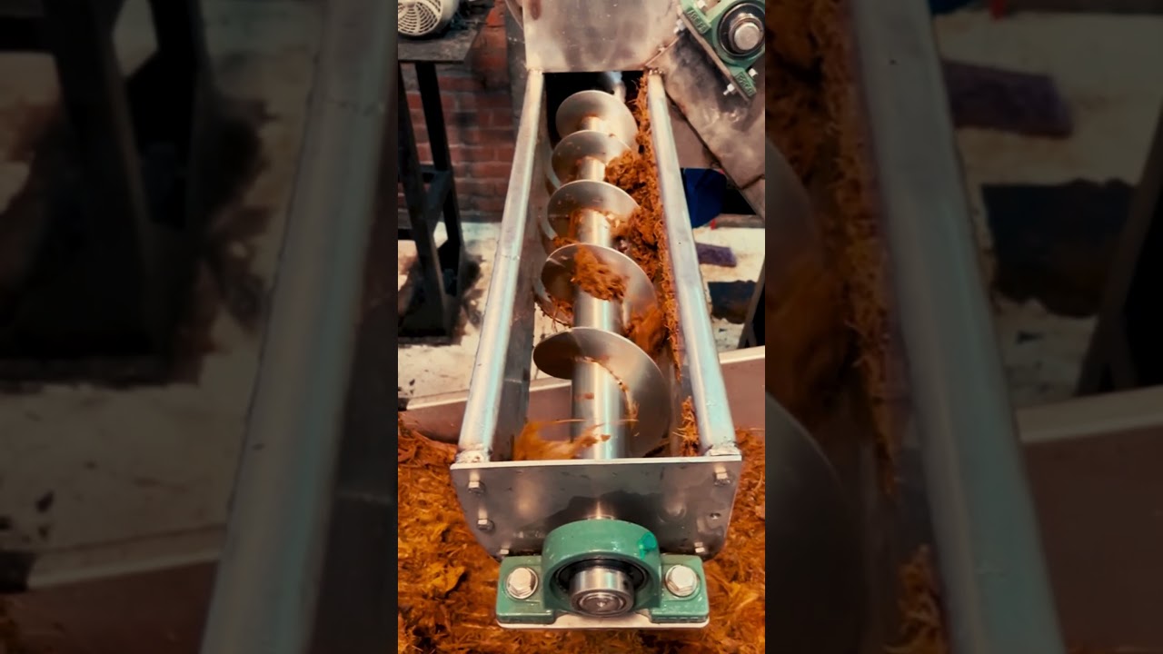 Peek into our distillery as our team crafts agave into a spirit that's truly authentic.