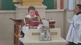 Domingo 1:30 PM Misa semanal (Español)