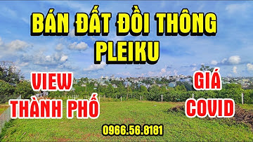 ĐÃ BÁN l Bán đất đồi thông view Pleiku Gia Lai l Bất động sản Gia Lai