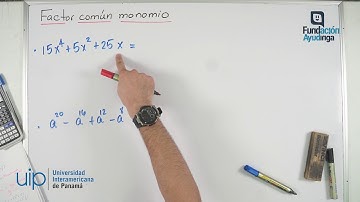 Factor Común Monomio | Teoría y Ejercicios Resueltos